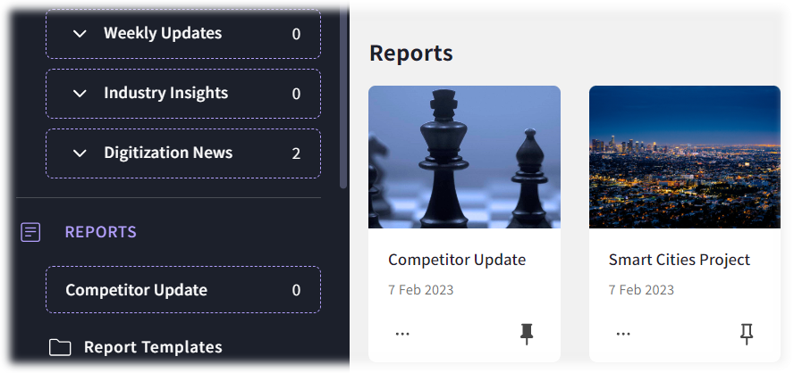 Reports - pin report.png